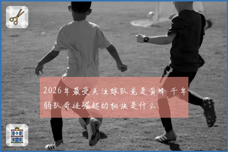 2026年最受关注球队竟是黄蜂 千年弱队奇迹崛起的秘诀是什么
