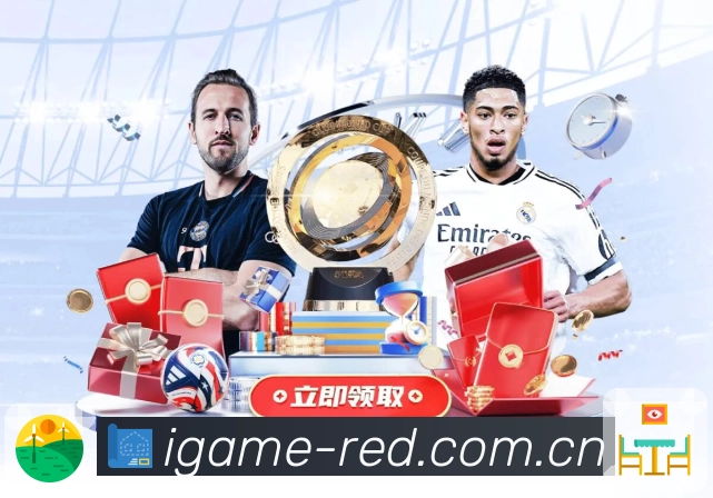 稳定与安全协同流程